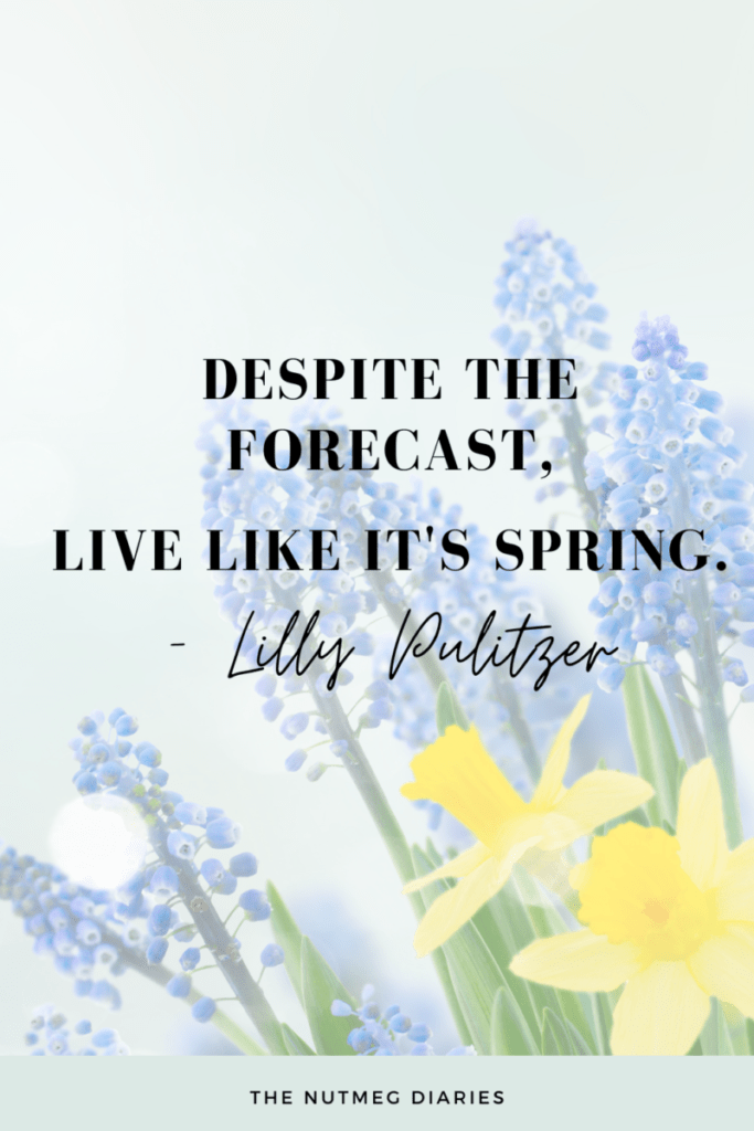 Spring Quotes