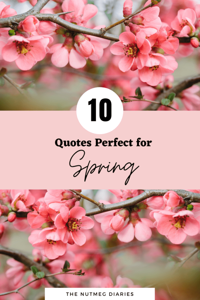 Spring Quotes