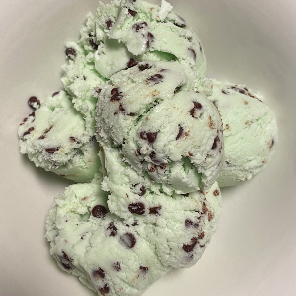 Mint Chocolate Chip Homemade Ice Cream