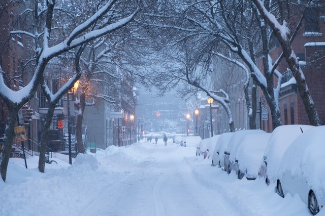 Winter Snow