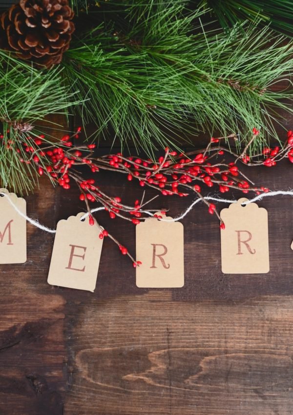 Blogmas Day 25: Christmas Day Bingo