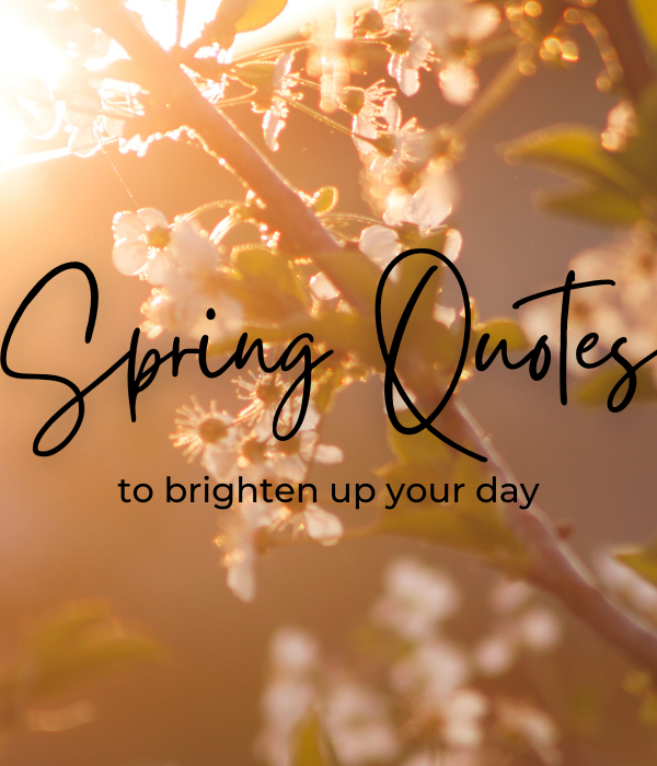 10 Spring Quotes to Brighten Up Your Day