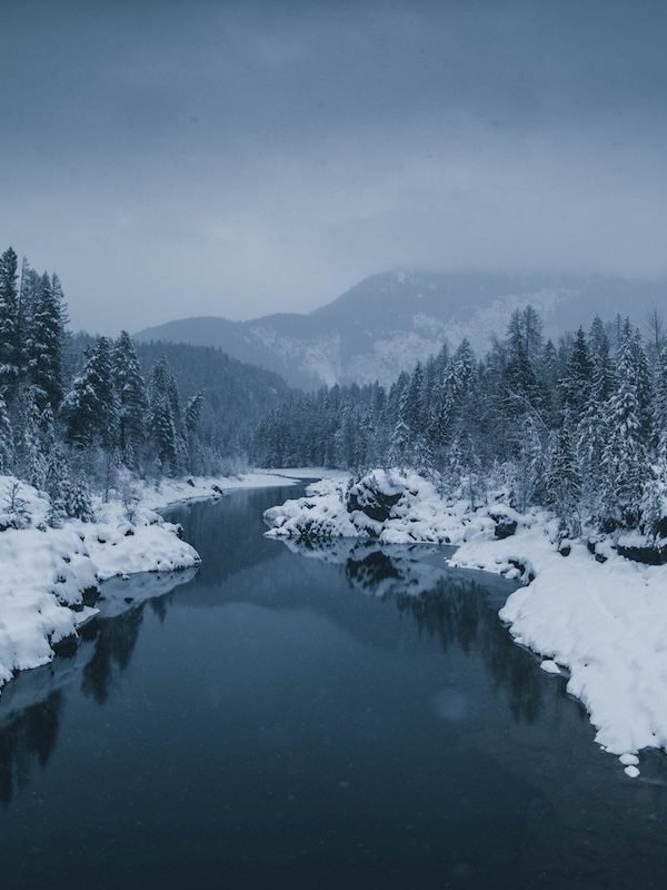 Blogmas Day 21: 10 Winter Quotes for the Snow Bunnies